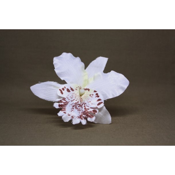 Hrpynt - Orkide med Clips 
