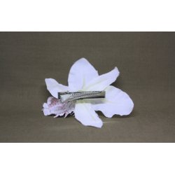 Hrpynt - Orkide med Clips 